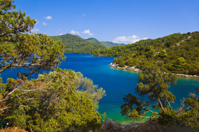 mljet-1